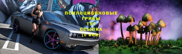 прущая мука Вязьма